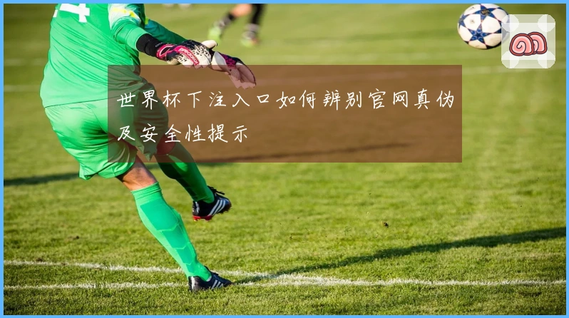 世界杯下注入口如何辨别官网真伪及安全性提示