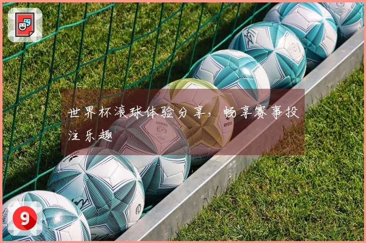 世界杯滚球体验分享，畅享赛事投注乐趣