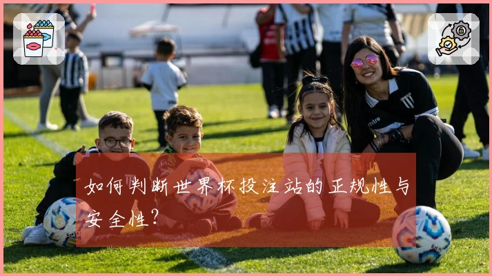 如何判断世界杯投注站的正规性与安全性？