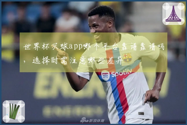 世界杯买球app哪个平台靠谱靠谱吗，选择时需注意哪些差异