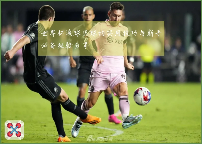 世界杯滚球买球的实用技巧与新手必备经验分享