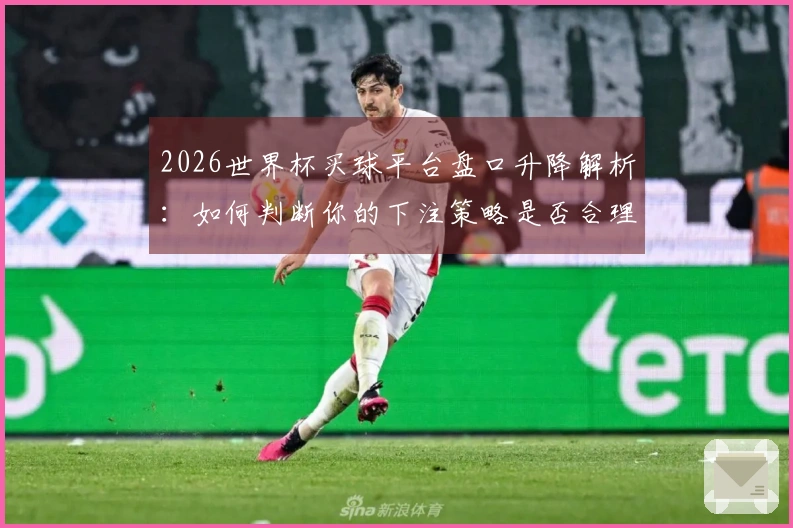 2026世界杯买球平台盘口升降解析：如何判断你的下注策略是否合理