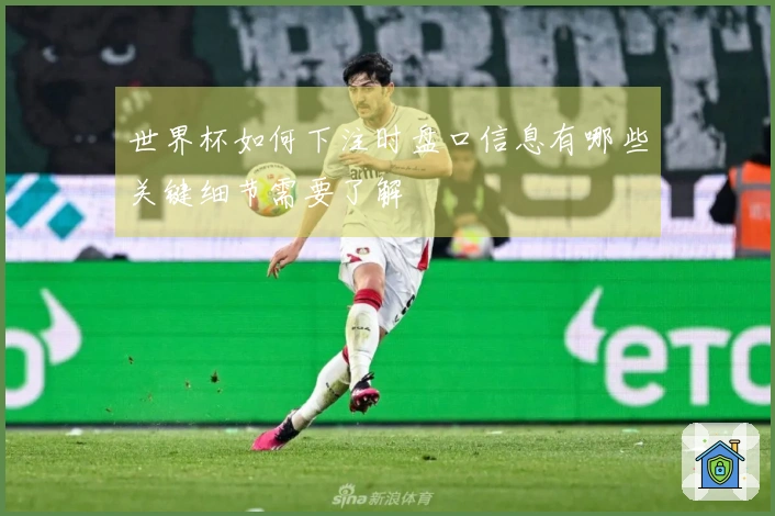 世界杯如何下注时盘口信息有哪些关键细节需要了解