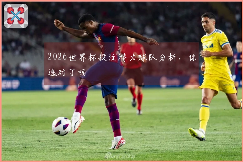 2026世界杯投注潜力球队分析,你选对了吗