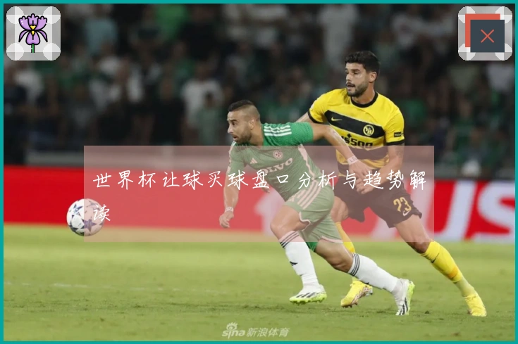 世界杯让球买球盘口分析与趋势解读