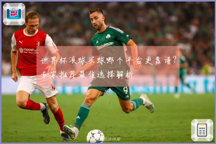 世界杯滚球买球哪个平台更靠谱？专家推荐最佳选择解析