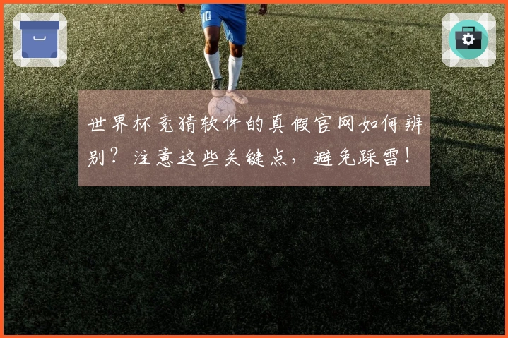世界杯竞猜软件的真假官网如何辨别？注意这些关键点，避免踩雷！