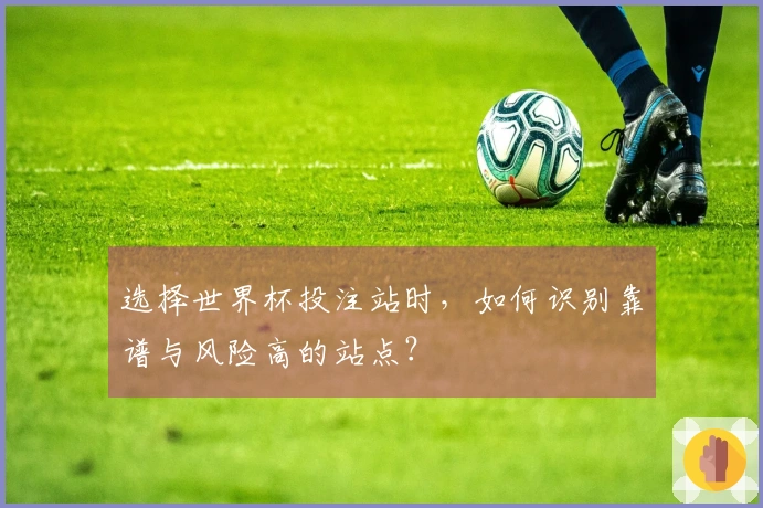 选择世界杯投注站时，如何识别靠谱与风险高的站点？