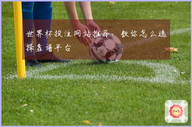世界杯投注网站推荐，教你怎么选择靠谱平台