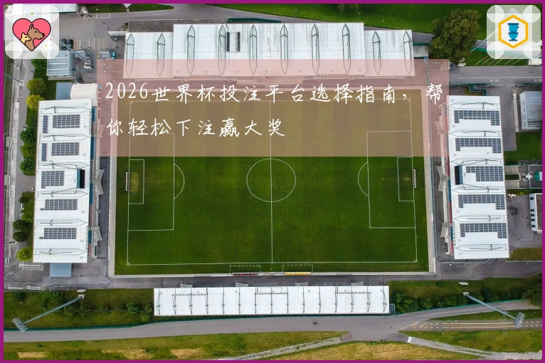 2026世界杯投注平台选择指南，帮你轻松下注赢大奖