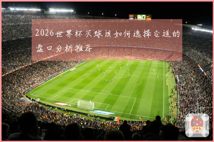 2026世界杯买球该如何选择合适的盘口分析推荐