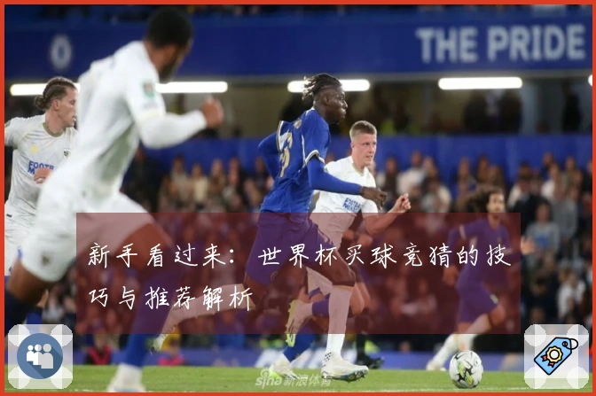 新手看过来：世界杯买球竞猜的技巧与推荐解析