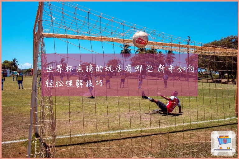 世界杯竞猜的玩法有哪些 新手如何轻松理解技巧