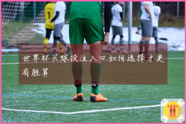 世界杯买球投注入口如何选择才更有胜算