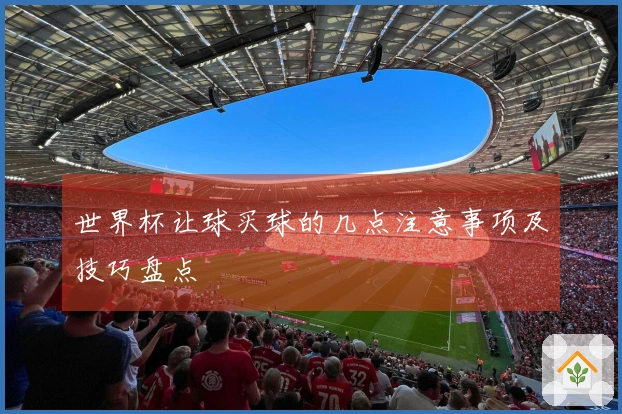 世界杯让球买球的几点注意事项及技巧盘点