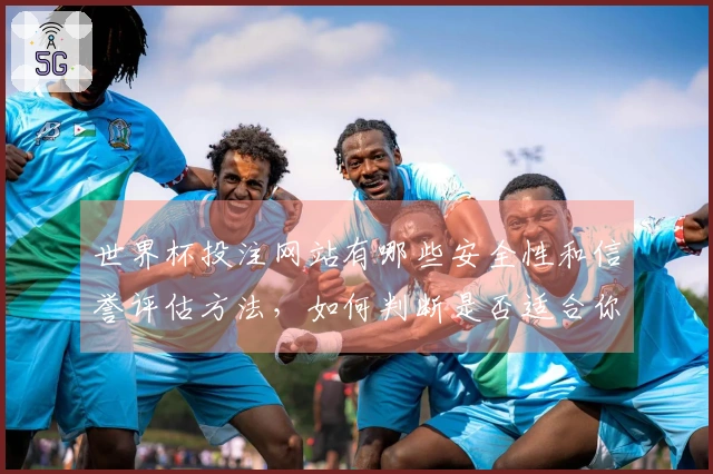世界杯投注网站有哪些安全性和信誉评估方法，如何判断是否适合你的需求