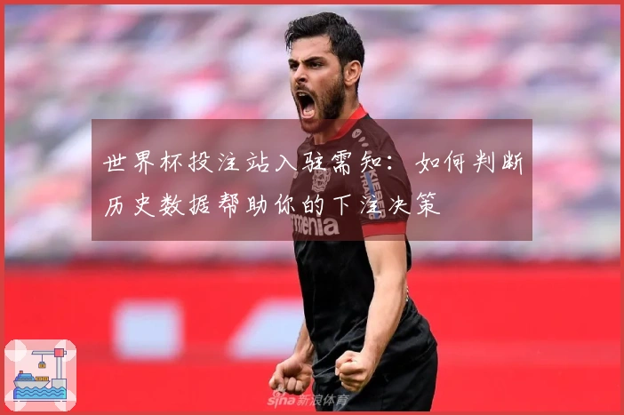 世界杯投注站入驻需知：如何判断历史数据帮助你的下注决策