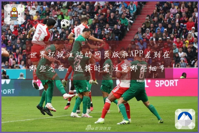 世界杯投注站的网页版和APP差别在哪些方面，选择时需注意哪些细节？