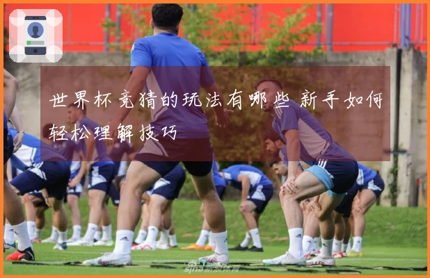 世界杯竞猜的玩法有哪些 新手如何轻松理解技巧