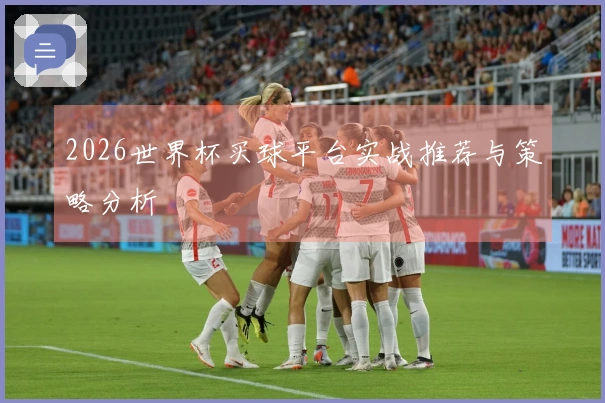 2026世界杯买球平台实战推荐与策略分析