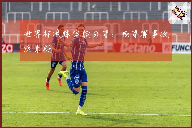 世界杯滚球体验分享，畅享赛事投注乐趣