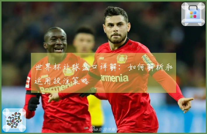 世界杯让球盘口详解:如何解析和运用投注策略