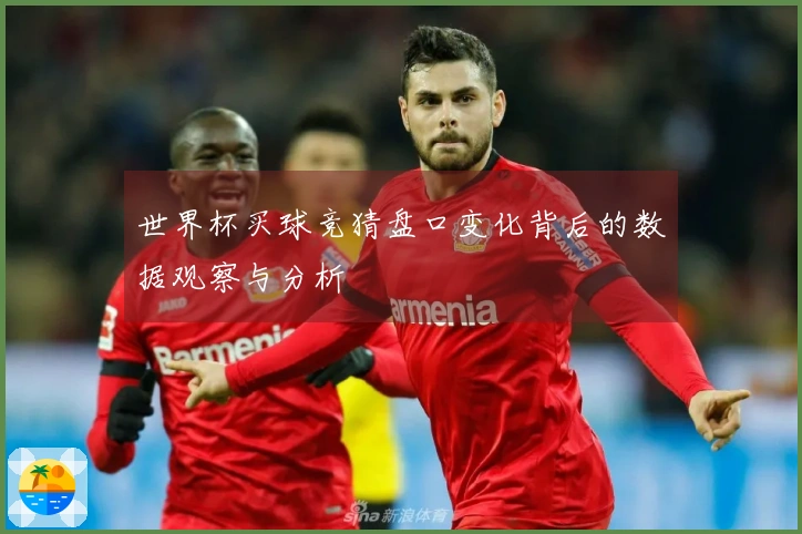 世界杯买球竞猜盘口变化背后的数据观察与分析