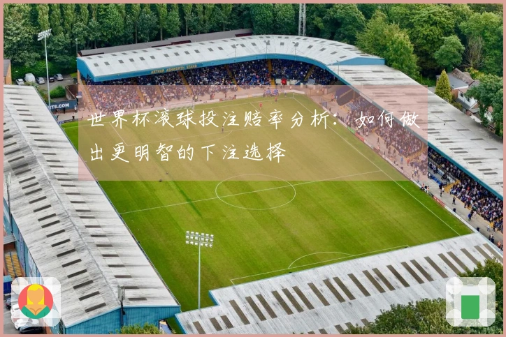 世界杯滚球投注赔率分析：如何做出更明智的下注选择