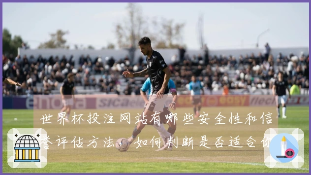 世界杯投注网站有哪些安全性和信誉评估方法，如何判断是否适合你的需求