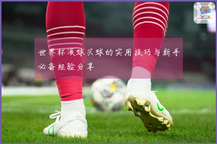 世界杯滚球买球的实用技巧与新手必备经验分享