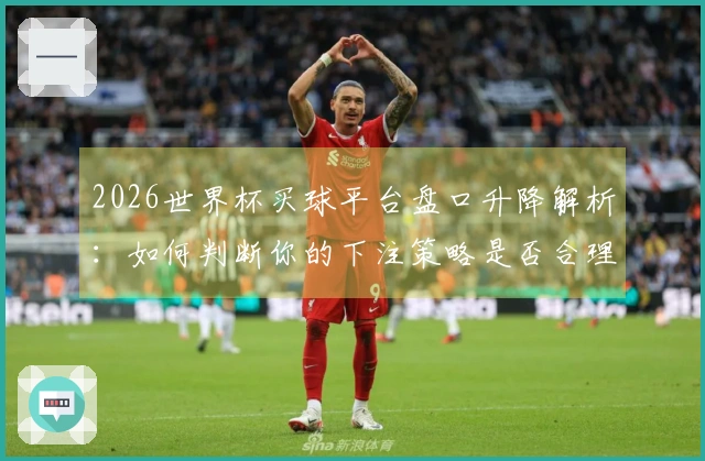 2026世界杯买球平台盘口升降解析：如何判断你的下注策略是否合理