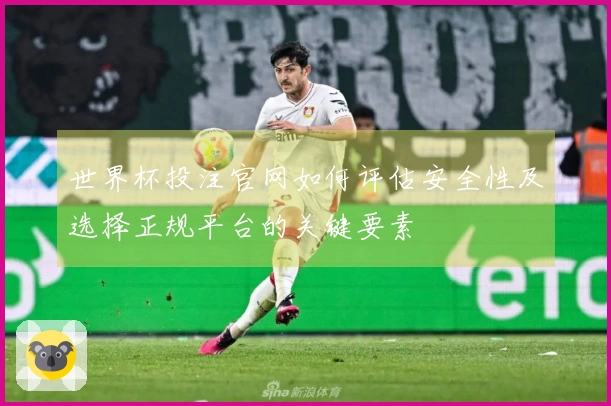 世界杯投注官网如何评估安全性及选择正规平台的关键要素