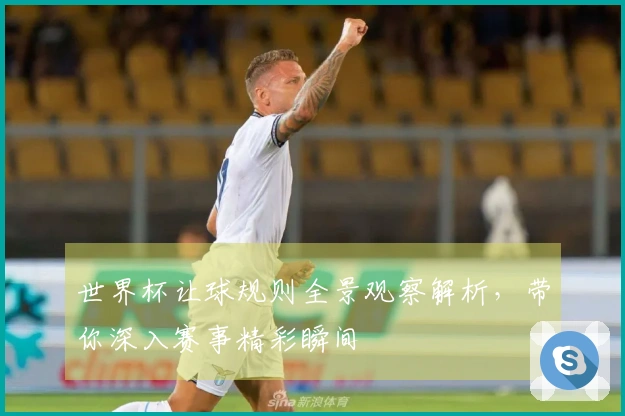世界杯让球规则全景观察解析，带你深入赛事精彩瞬间