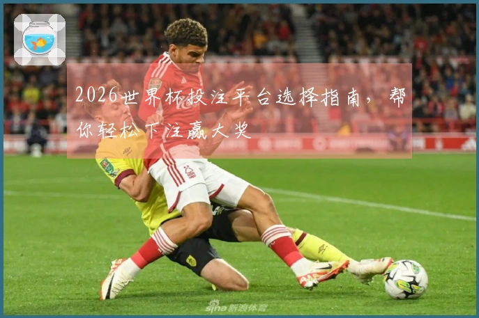 2026世界杯投注平台选择指南,帮你轻松下注赢大奖