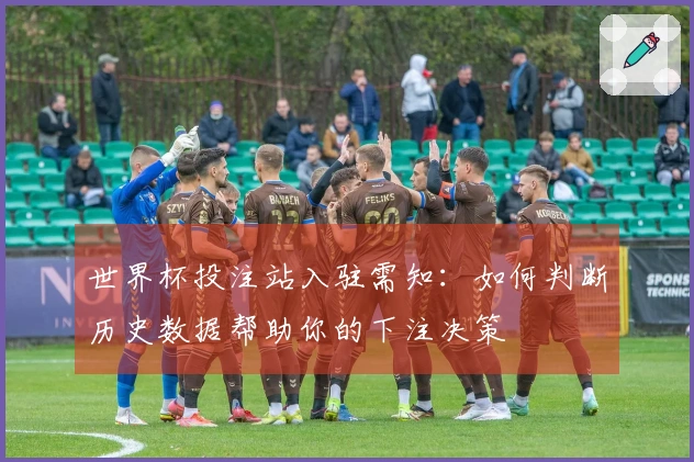 世界杯投注站入驻需知：如何判断历史数据帮助你的下注决策