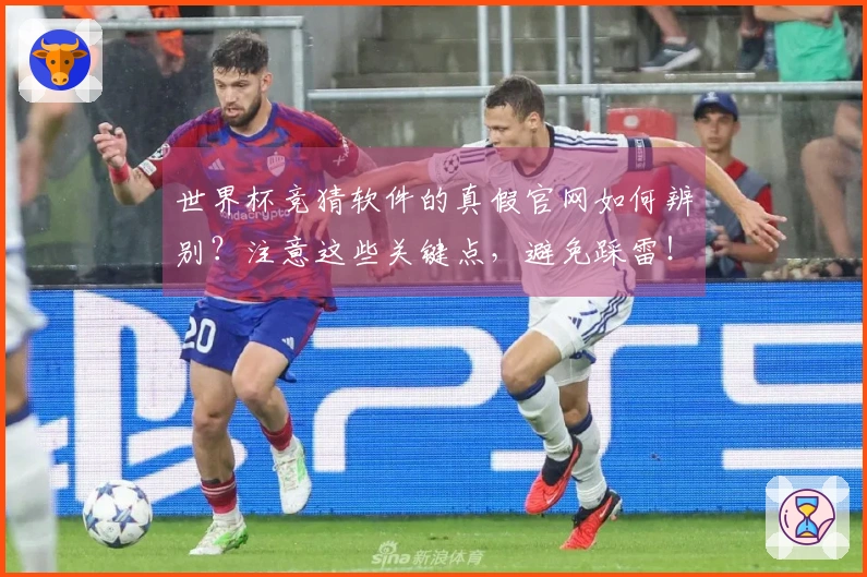 世界杯竞猜软件的真假官网如何辨别？注意这些关键点，避免踩雷！