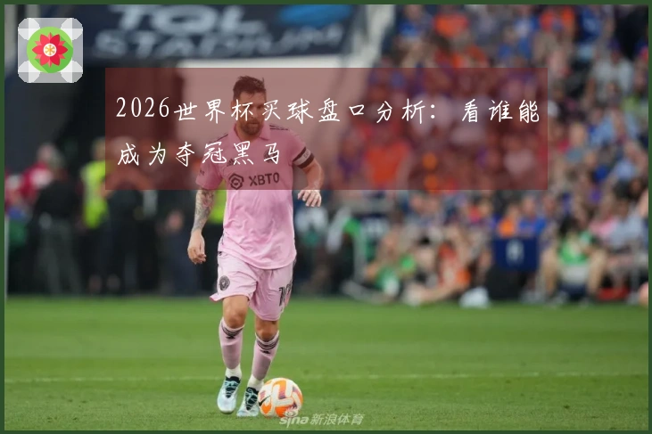 2026世界杯买球盘口分析：看谁能成为夺冠黑马