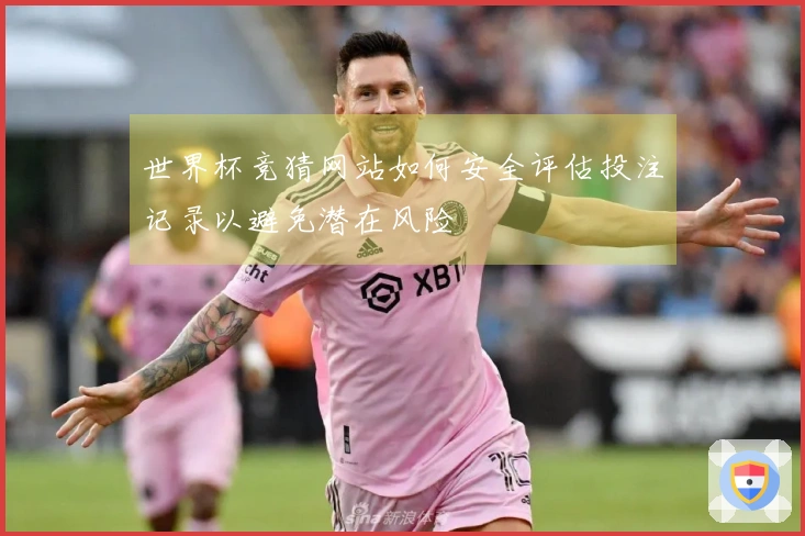 世界杯竞猜网站如何安全评估投注记录以避免潜在风险