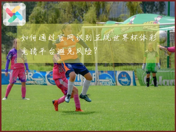 如何通过官网识别正规世界杯体彩竞猜平台避免风险？