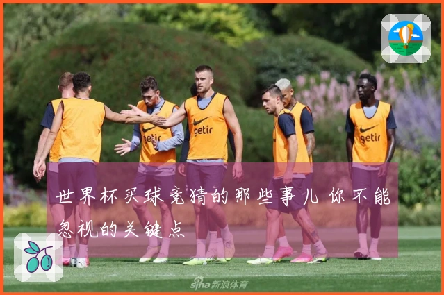 世界杯买球竞猜的那些事儿 你不能忽视的关键点